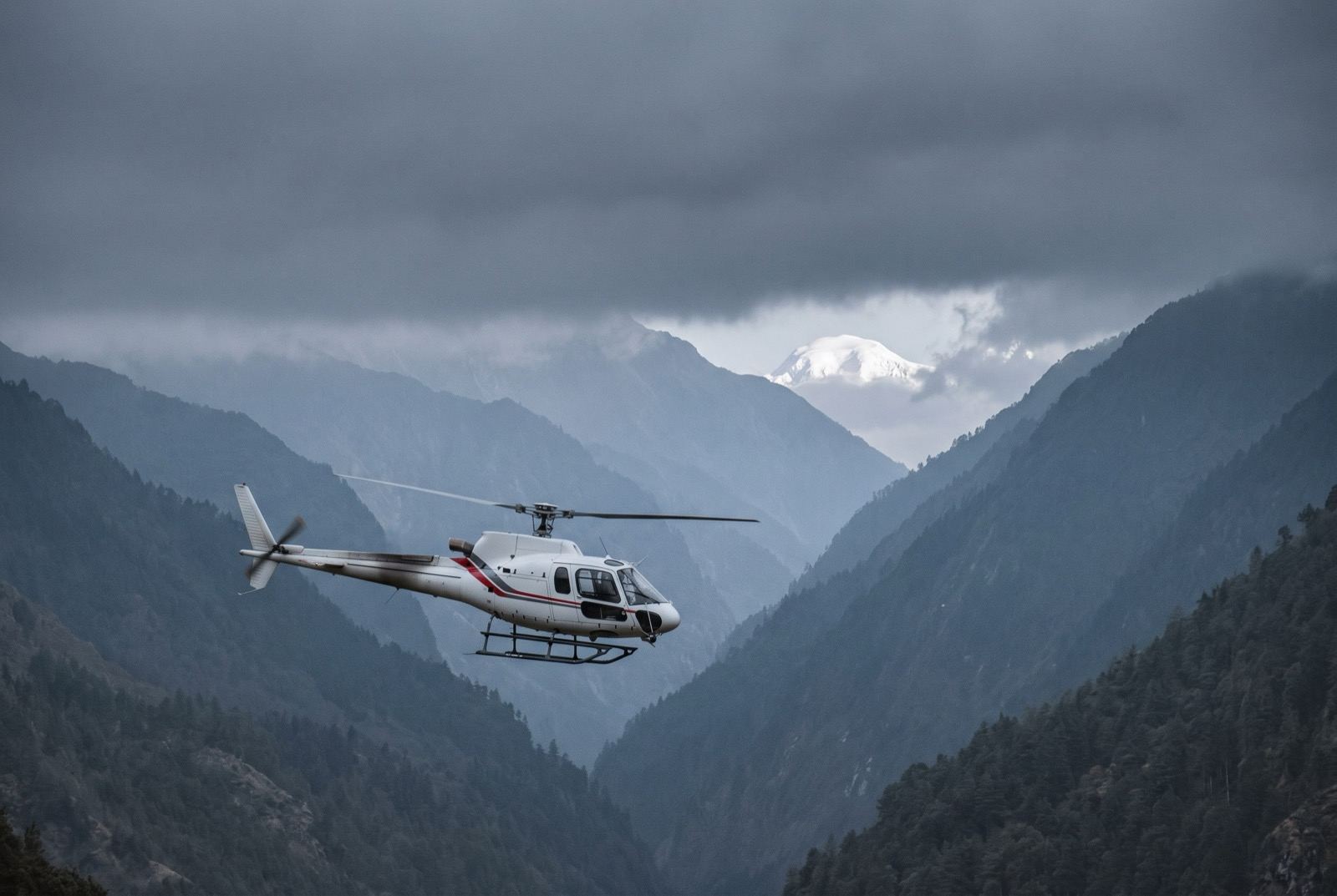 A white helicopter flying beneath a flat ceiling of cloud between dark forested valley walls.
